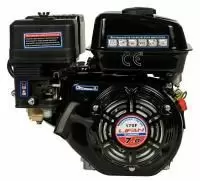 Купить Двигатель Lifan 170F Eco D19 в Минске с Доставкой по РБ