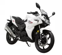 Мотоцикл Lifan LF200-10P Мотоцикл Lifan LF200-10P