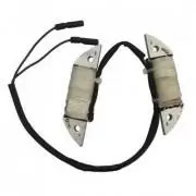 Купить Катушка освещения GX200(168F)-3А(2шт) в Минске с Доставкой по РБ