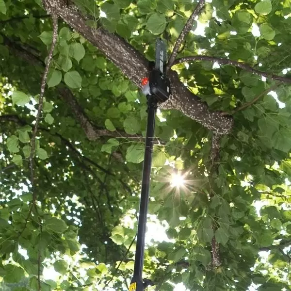 Купить Высоторез бензиновый ECHO PPT-236ES (PPT236ES) в Минске с Доставкой по РБ