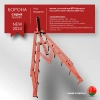 Купить Борона для мотоблока МТЗ(Беларус) - "Целина" ОП-1478.000-01А (ПОД КВАДРАТ) в Минске с Доставкой по РБ