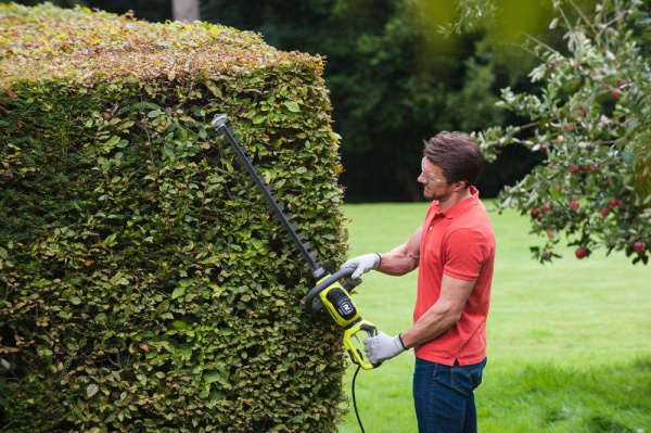 Приобрести Кусторез электрический RYOBI RHT6160RS в Минске с Доставкой по РБ Купить Кусторез электрический RYOBI RHT6160RS в Минске с Доставкой по РБ