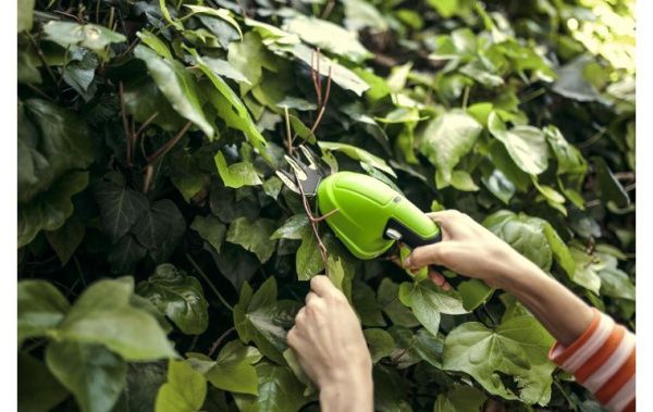 Приобрести Аккумуляторные садовые ножницы-кусторез Greenworks G7,2HS 7,2В в Минске с Доставкой по РБ Купить Аккумуляторные садовые ножницы-кусторез Greenworks G7,2HS 7,2В в Минске с Доставкой по РБ