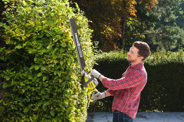 Приобрести Кусторез электрический RYOBI RHT8165RL в Минске с Доставкой по РБ Купить Кусторез электрический RYOBI RHT8165RL в Минске с Доставкой по РБ