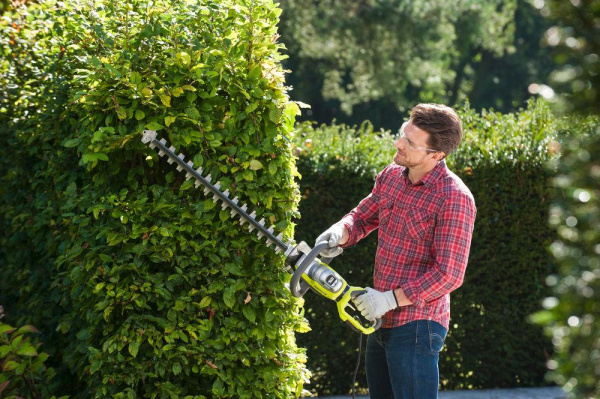 Приобрести Кусторез электрический RYOBI RHT8165RL в Минске с Доставкой по РБ Купить Кусторез электрический RYOBI RHT8165RL в Минске с Доставкой по РБ