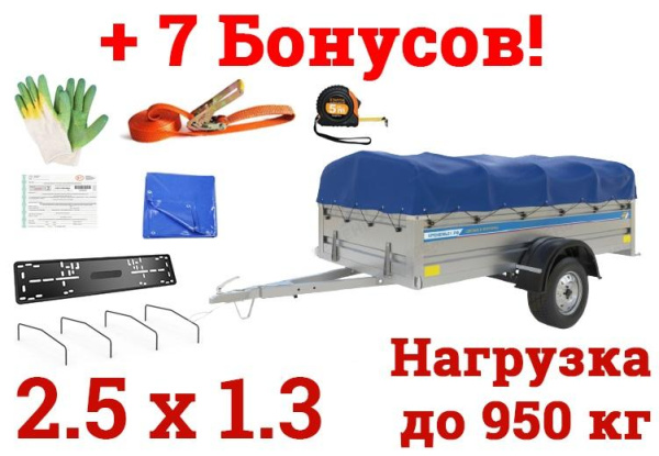 Автомобильный оцинкованный прицеп Кремень "Профи Премиум" (2,5х1,3) на рессоре alko