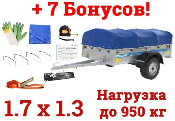 Автомобильный Прицеп Кремень "Стандарт Плюс" (1,7х1,3) на рессоре alko