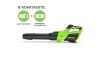 Купить Воздуходувка аккумуляторная Greenworks GD40BG3 40В (в комплекте АКБ 4А/ч + ЗУ) в Минске с Доставкой по РБ