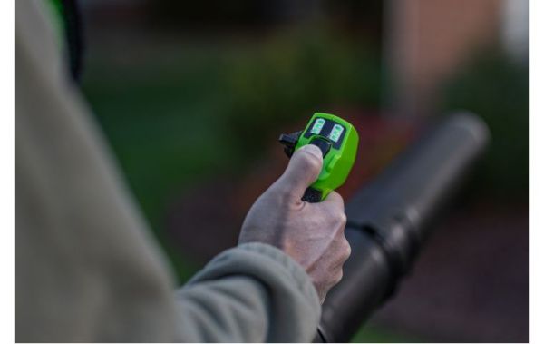 Купить Воздуходув аккумуляторный ранцевый Greenworks GD40BPG2 40В в Минске с Доставкой по РБ