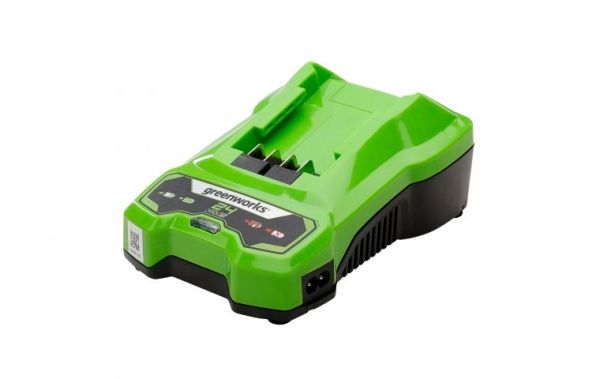 Купить Зарядное устройство Greenworks G24C4 24В 4A в Минске с Доставкой по РБ