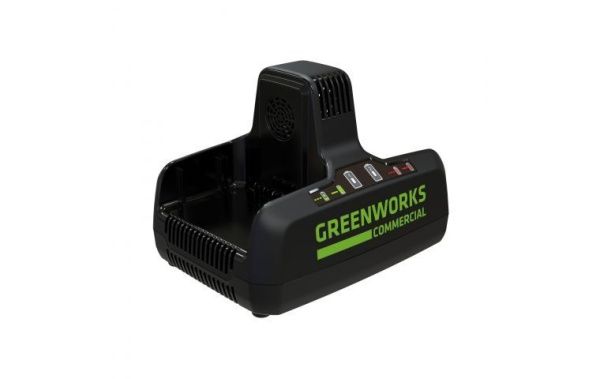 Купить Зарядное устройство на 2 слота  Greenworks G82C2 82В в Минске с Доставкой по РБ