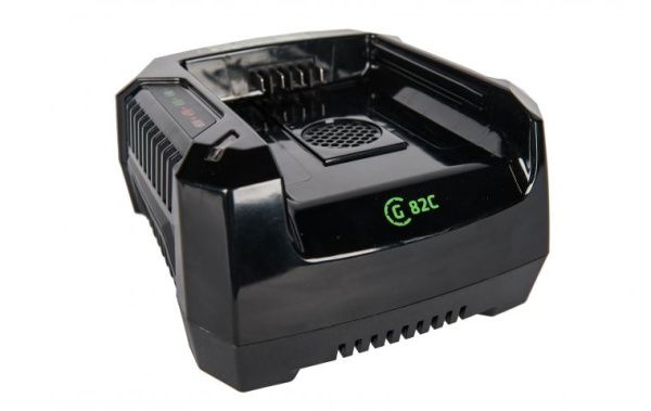 Купить Зарядное устройство Greenworks G82C 82В в Минске с Доставкой по РБ