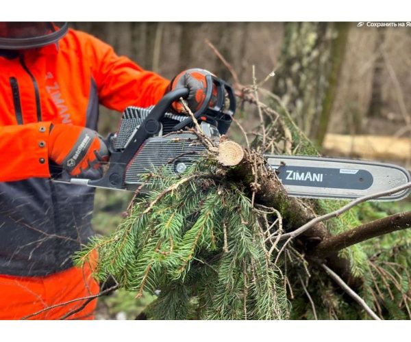 Купить Бензопила ZimAni MS180 pro 16", 2.0 л.с. (Карбюратор: Walbro; Поршень: Meteor; Цилиндр: Italy Nikasil; Кольца: Caber; Защита бака) в Минске с Доставкой по РБ