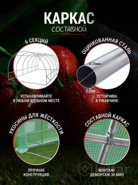 Приобрести Садовая Теплица РОСТОК 6-3-2м диаметр трубы 25mm в Минске с Доставкой по РБ Купить Садовая Теплица РОСТОК 6-3-2м диаметр трубы 25mm в Минске с Доставкой по РБ