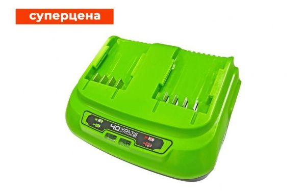 Купить Быстрое зарядное устройство на 2 слота Greenworks G40UC8 8A 40В в Минске с Доставкой по РБ