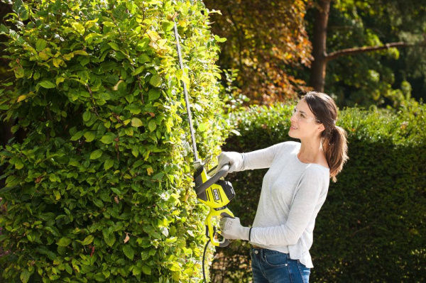 Приобрести Кусторез электрический RYOBI RHT5655RS в Минске с Доставкой по РБ Купить Кусторез электрический RYOBI RHT5655RS в Минске с Доставкой по РБ