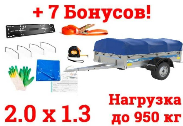 Автомобильный Оцинкованный Прицеп Кремень "Стандарт Плюс" (2х1,3) на рессоре alko