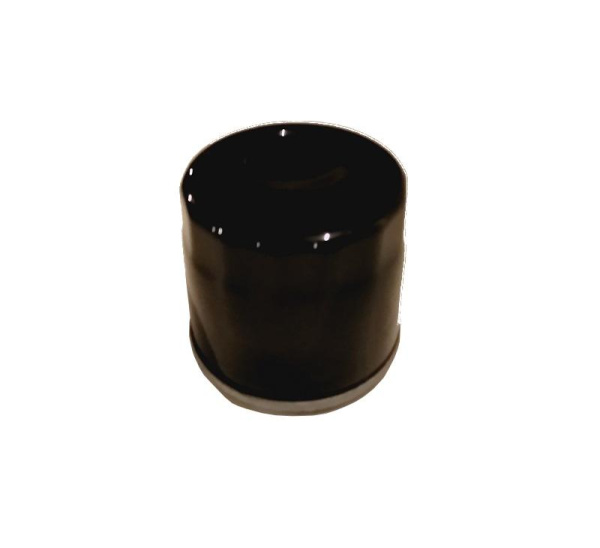 Приобрести Фильтр масляный LIFAN 15410/2V77,78F в Минске с Доставкой по РБ Купить Фильтр масляный LIFAN 15410/2V77,78F в Минске с Доставкой по РБ